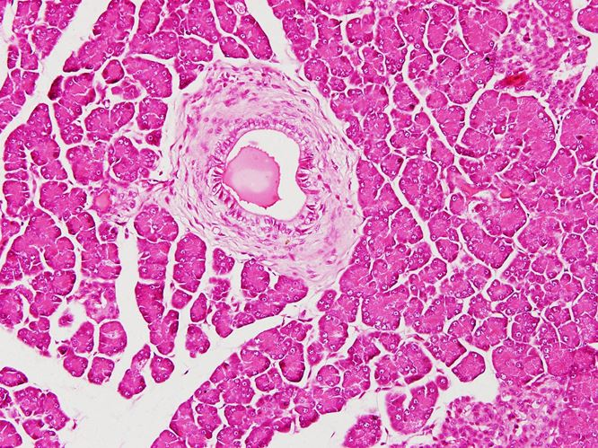 <p>Cơ quan gì ?</p>