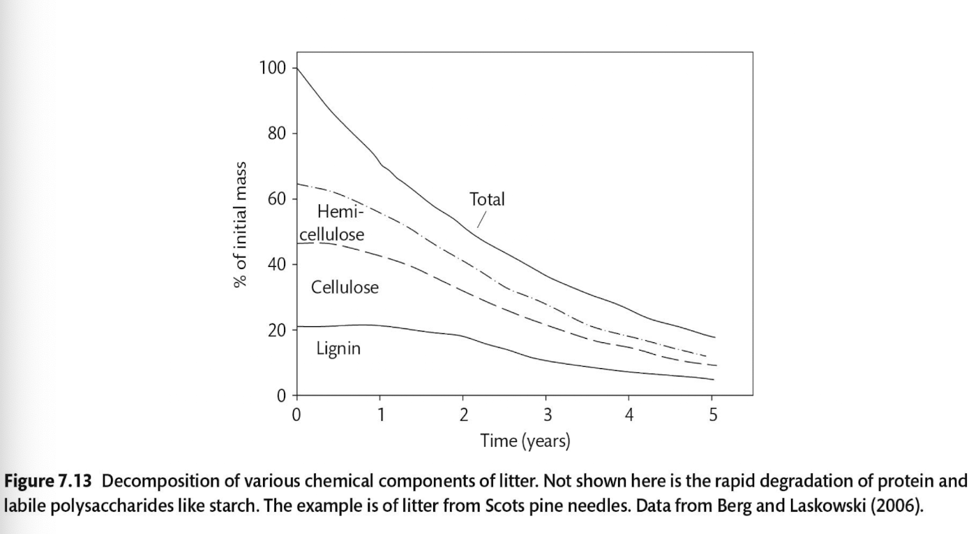 <p>D. Lignin</p>