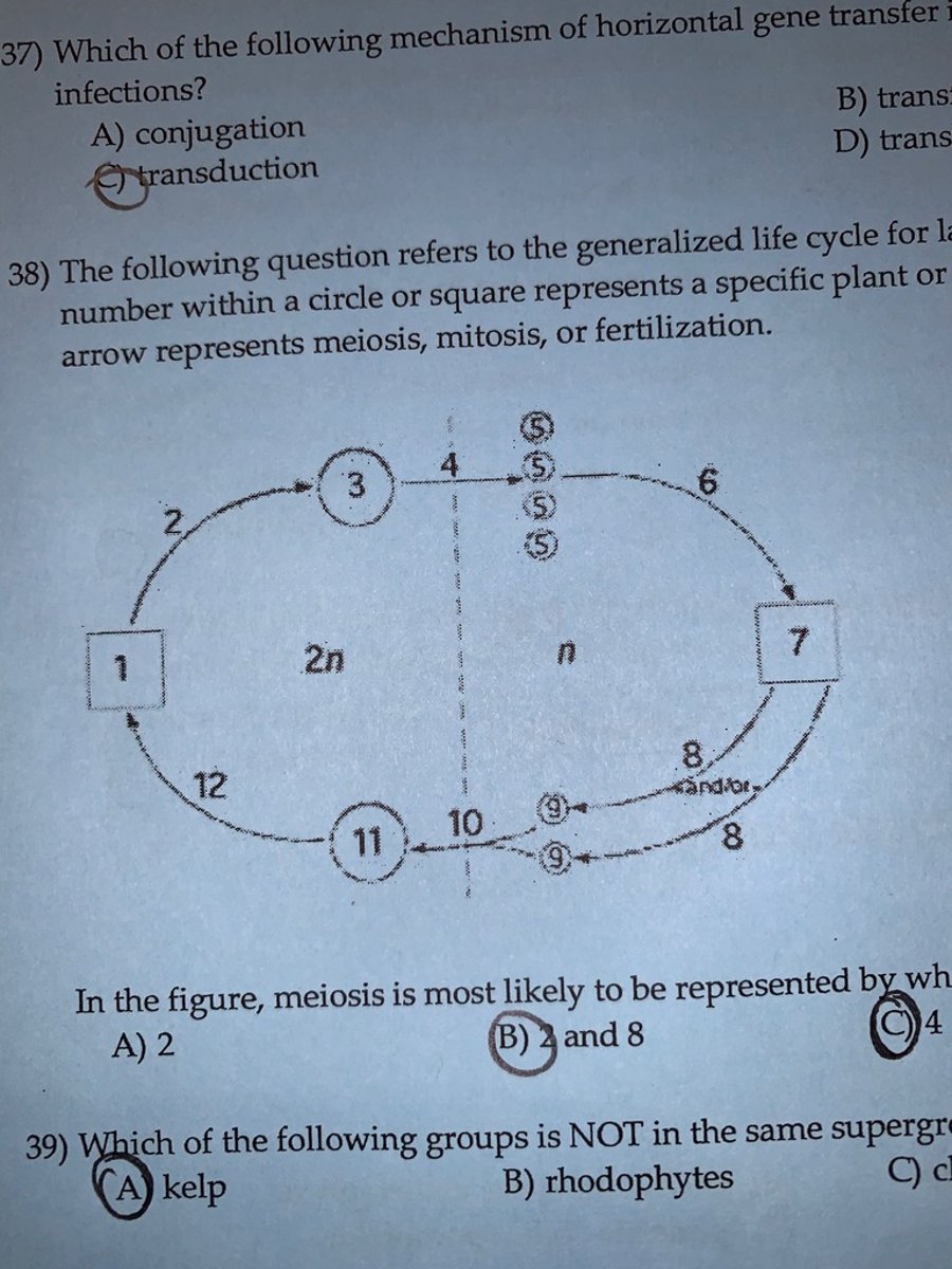 <p>C</p>