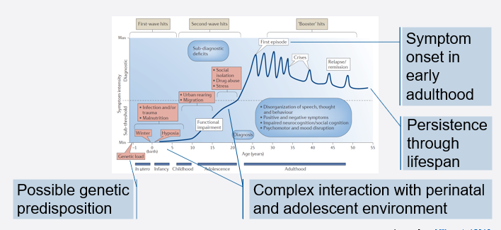 <ul><li><p>possible genetic predisposition </p></li><li><p>complex interraction with perinatal and adolescent environment </p></li><li><p>symptems onset in early adulthood</p></li><li><p>persists through lifespan </p></li><li><p>possible higher risk of neurodegenerative diseases </p></li></ul><p></p>