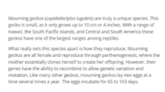 <p>b. Without fertilization</p>