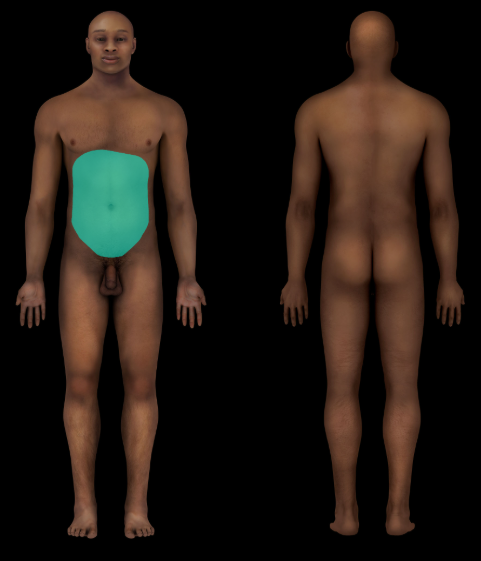 term image
