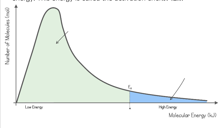 <p>Boltzmann Distribution Curve</p>