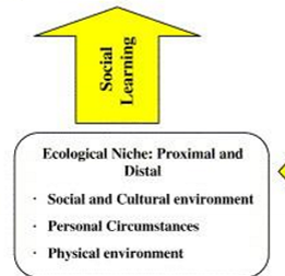 <p>Ecological niche: proximal and distal factors</p><ul><li><p>Social & Cultural environment</p></li><li><p>Personal circumstances</p></li><li><p>Physical environment</p></li></ul><p></p>