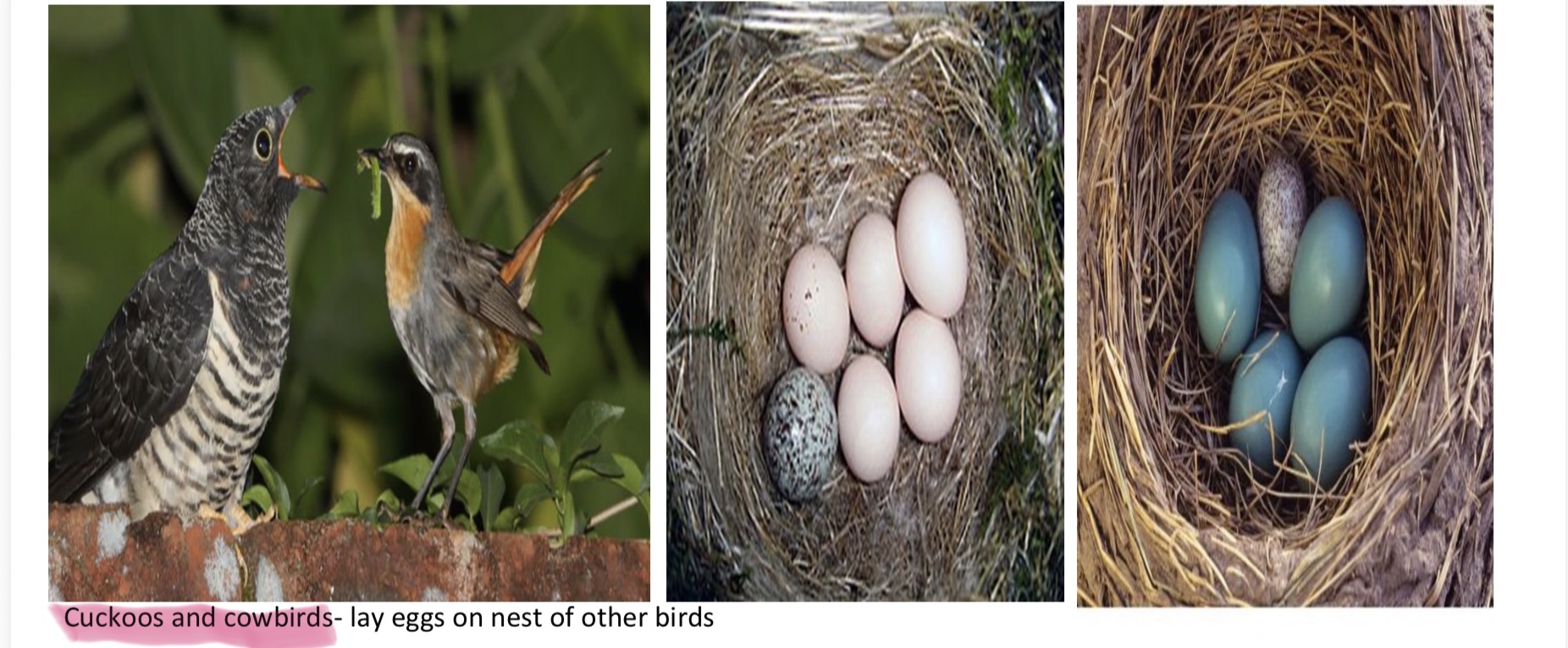 <p>identify relationship</p>