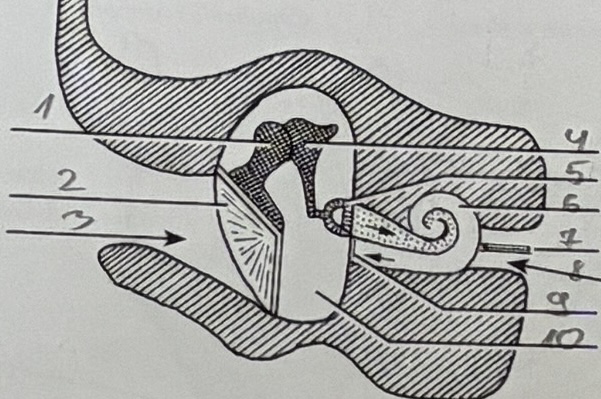 <p>2</p>
