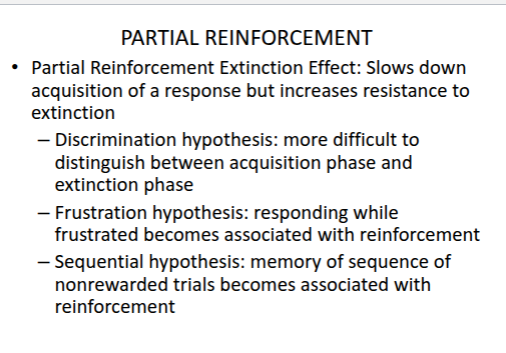 <p><strong>Discrimination Hypothesis</strong></p>