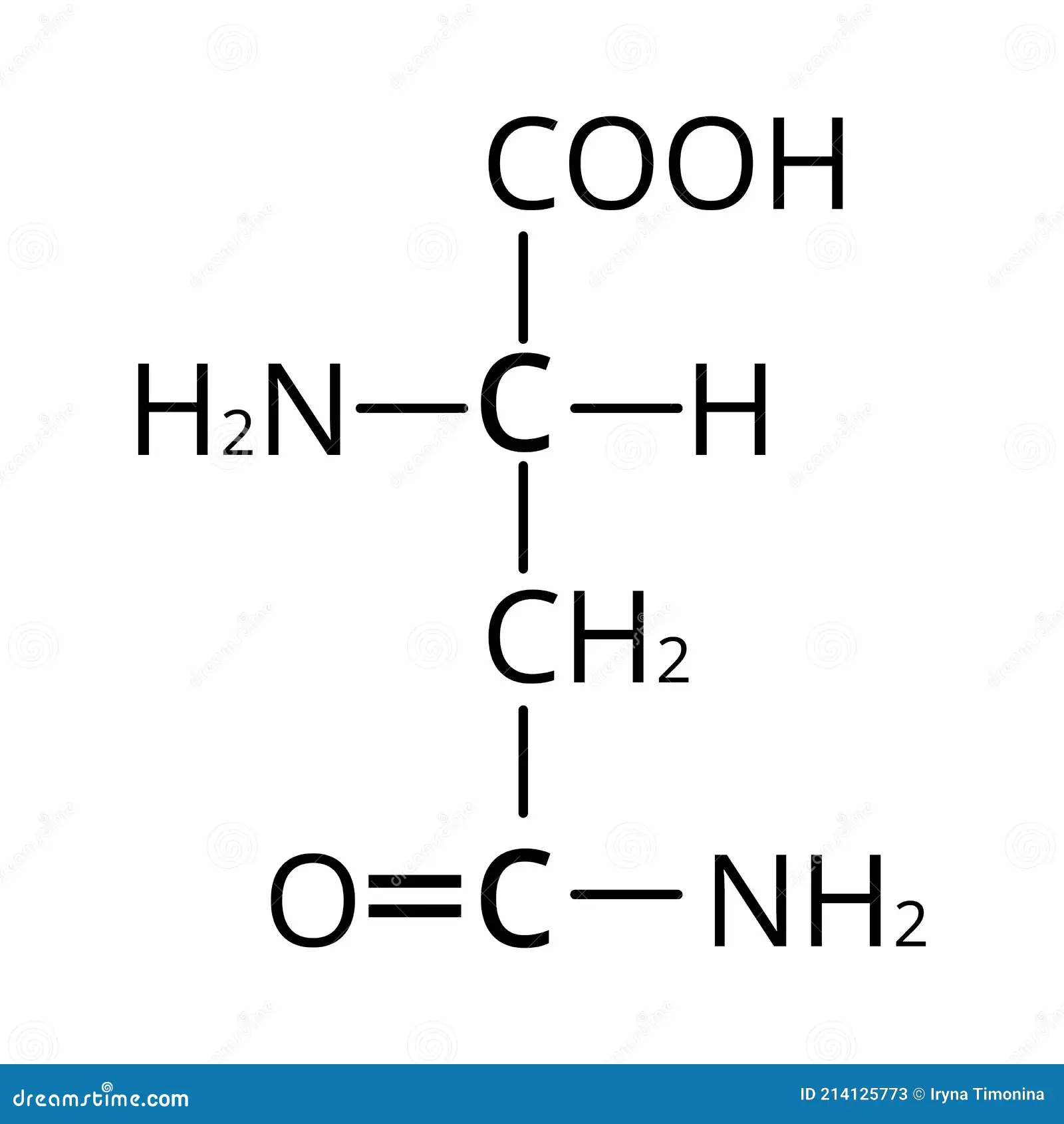 <p>name the following amino acid</p>