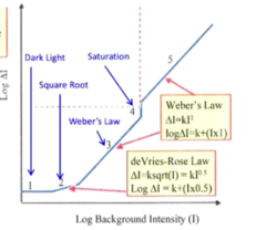 <p>Weber's Law Region 5: What is the equation to measure threshold of this region?</p>