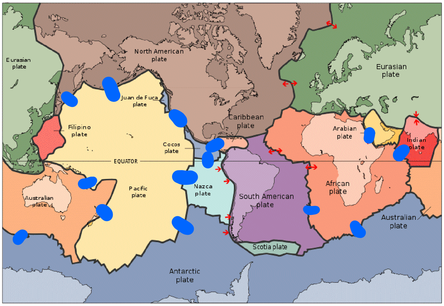 <p>What direction do the covered plates go?</p>