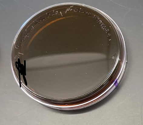 <p>What is the plate’s name, selective agents, select for, differential agents, differentiates between, everything about it?</p>