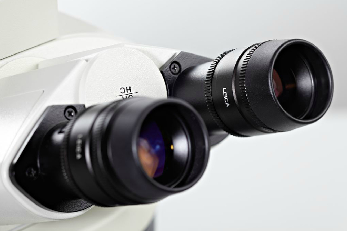<p>the eyepieces to look into the sample</p>