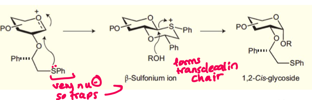 <ul><li><p>SPh is very nucleophilic so is able to attack the anomeric carbon and forms the transdecalin chair </p></li><li><p>this blocks the equatorial face with a bulky group allowing for alpha product</p></li><li><p>Ph must be starting from S configuration</p></li></ul><p></p>