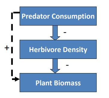 <p>Consumptive Effects are behaviors that involve a predator eating its prey (example: a lion attacking a zebra), while Non-Consumptive Effects are behaviors that involve a predator scaring off its prey (example: fish and their predators in the Hungry, Hungry Herbivores Module). Depending on the interaction, each species can be positively or negatively affected.</p>