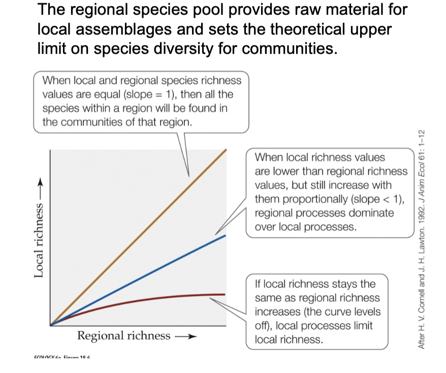 <p>The regional species pool sets the theoretical upper limit on local diversity </p><p></p><p>If the slope=1, all regional species are found locally. If the curve levels off, local processes (like competition) limit richness. </p>