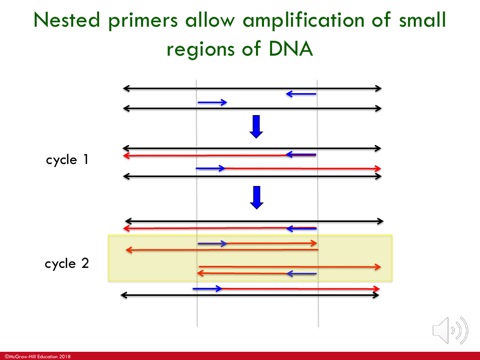 <p>Cycles/rounds within PCR</p>