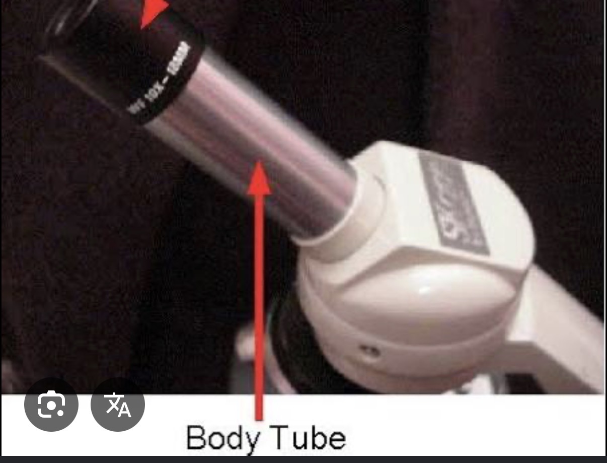 <p>The tube that holds the eyepiece, and it keeps the microscope parts lined up.</p>