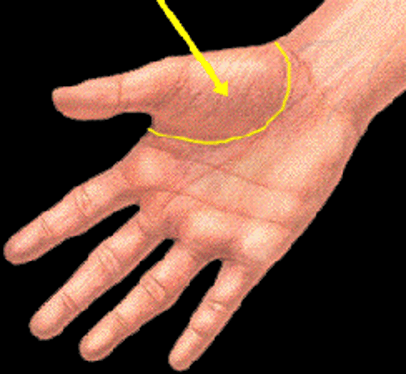 <p>thumb</p>