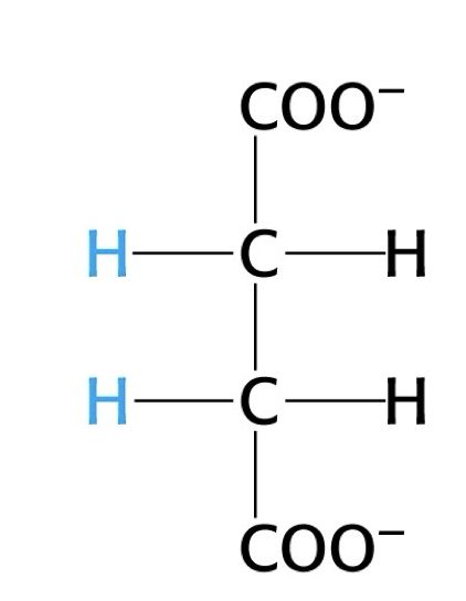 <p>what structure is this?</p>