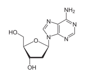 <p>(Bonus) Classify the molecule on the above</p>