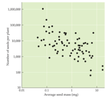 <p>In the seed size vs. number graph, which plants invest the most in reproduction?</p>