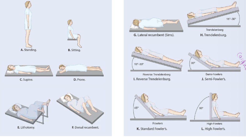 <p>Standing/Sitting</p><p>Supine/Prone</p><p>Lithotomy/Dorsal Recumbent/Lateral Recumbent</p><p>Trendelenburg/Reverse Trendelenburg</p><p>Semi-Fowler’s/Standard Fowler’s/High Fowler’s</p>