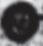 <p>structure name</p>