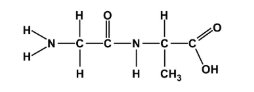 <p>what is this molecule?</p>