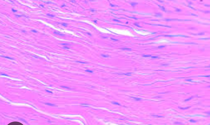 <p>what is this </p>