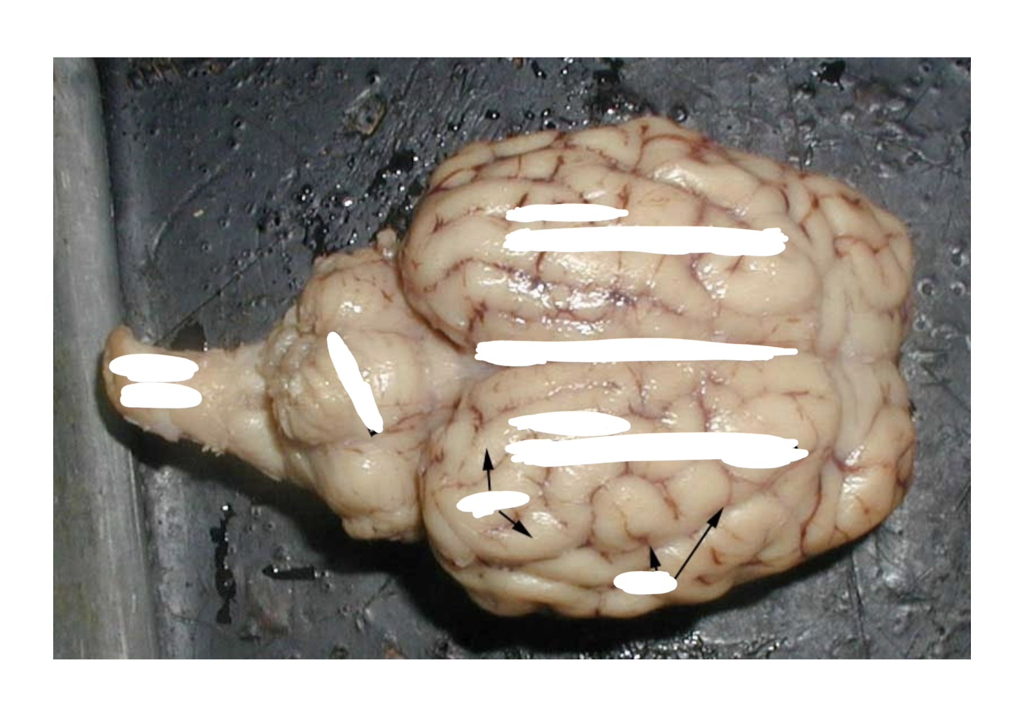 <p><a target="_blank" rel="noopener noreferrer nofollow" class="link" href="https://assets.knowt.com/user-attachments/d02749dd-bde5-4ac2-824c-cfb259e95e30.jpg" data-prevent-progress="true">https://assets.knowt.com/user-attachments/d02749dd-bde5-4ac2-824c-cfb259e95e30.jpg</a></p>