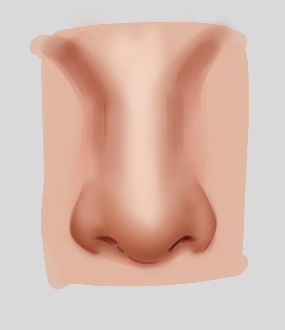 <p>nasal</p>