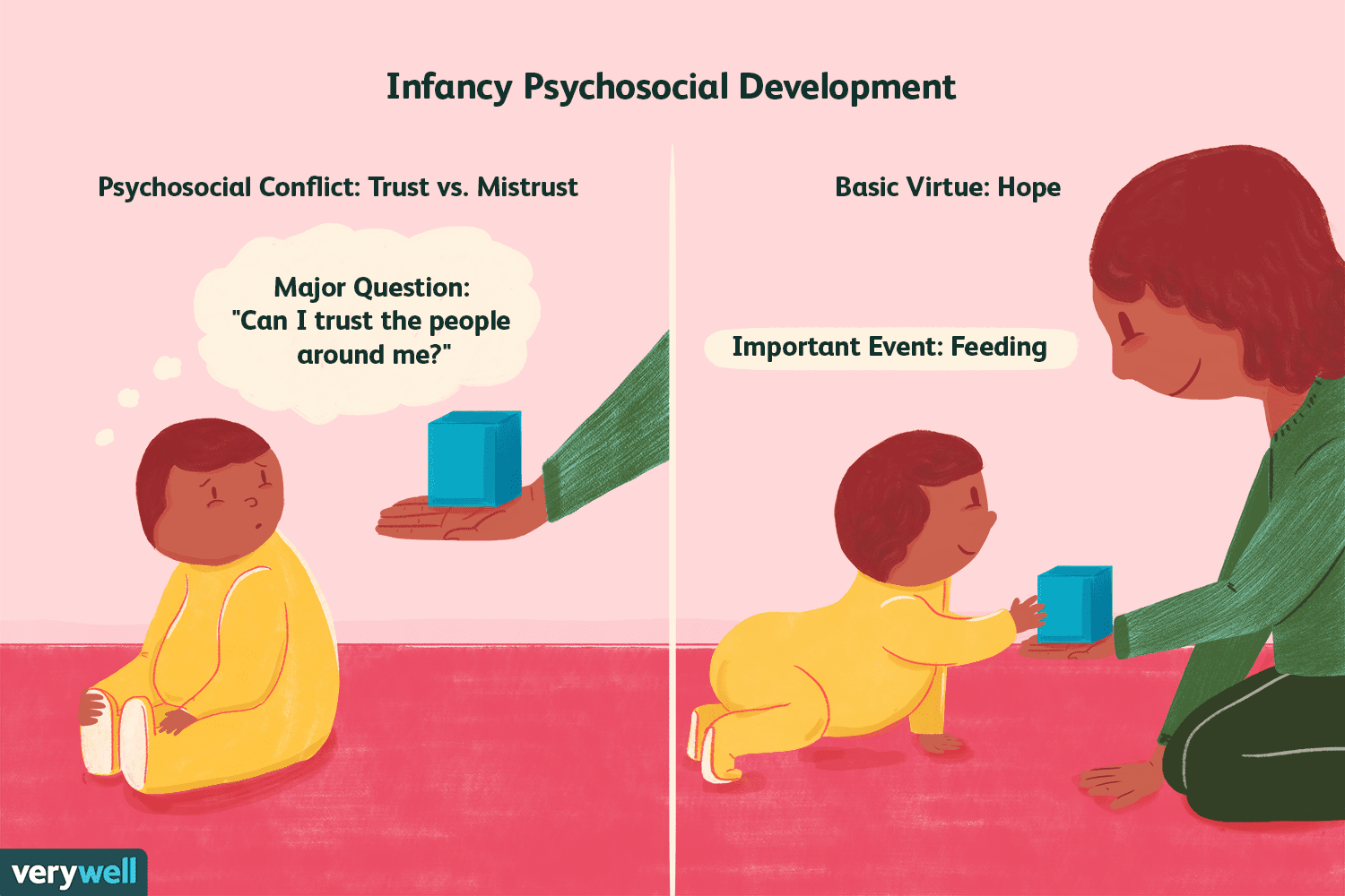 <p>- Which basic virtue develops when an infant successfully resolves the <strong>trust vs. mistrust crisis</strong>?</p><p>- Erikson believed that successfully resolving the first psychosocial crisis develops the virtue of?</p>
