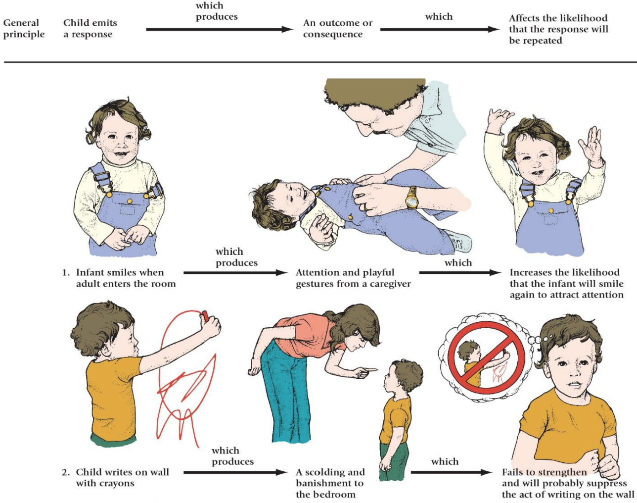 <ul><li><p>Response → Consequence → Result</p></li><li><p>smiles + attention → reinforces attention</p></li><li><p>drawing + punishment</p></li><li><p>is attention always a reinforcer → may also increase unwanted behaviour</p></li></ul><p></p>