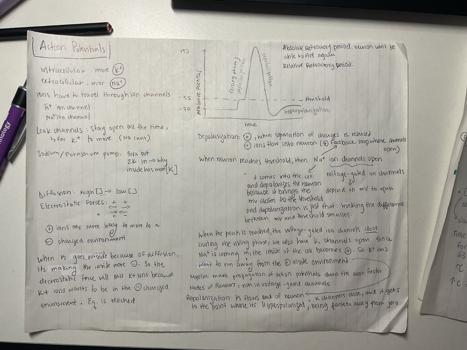 knowt flashcard image