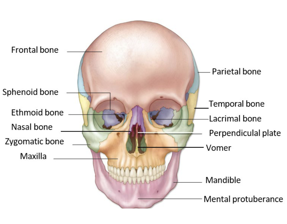 term image