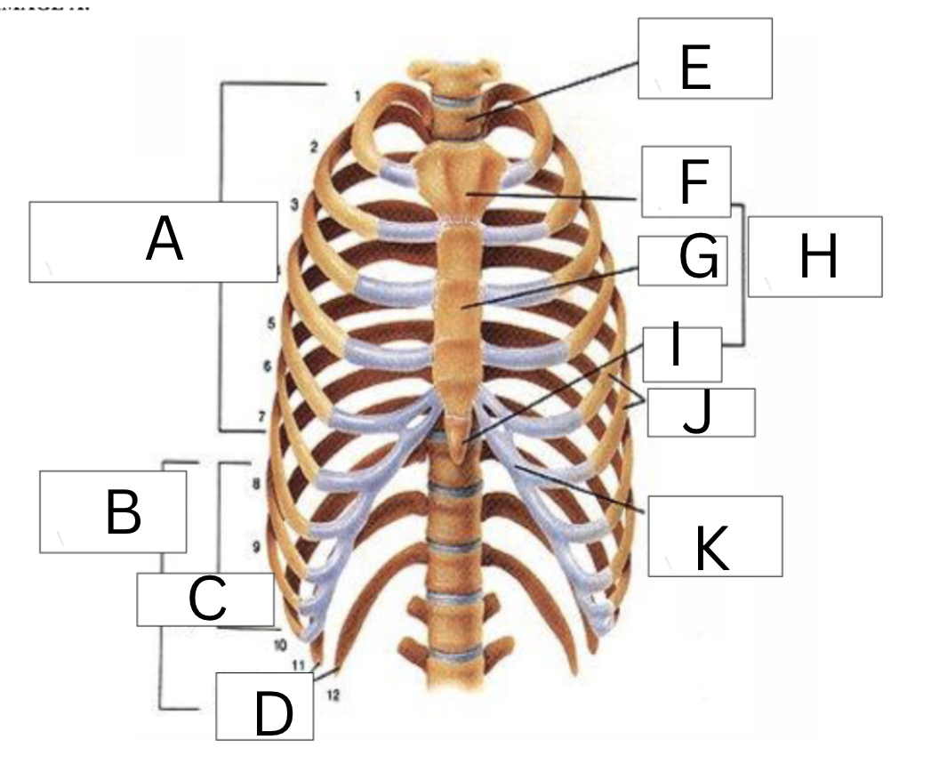 <p>Label the following</p>