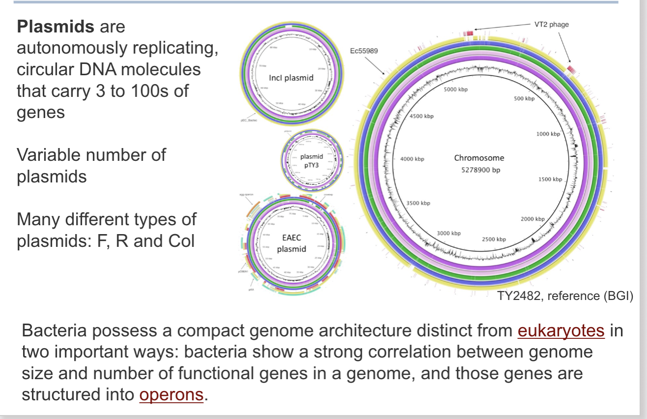 <p>Fertility, resistance, col</p><p></p><p></p>