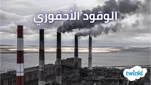<p>Fossil fuels</p>