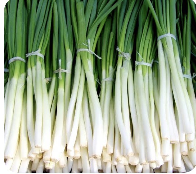 <p>Green leek onion</p>