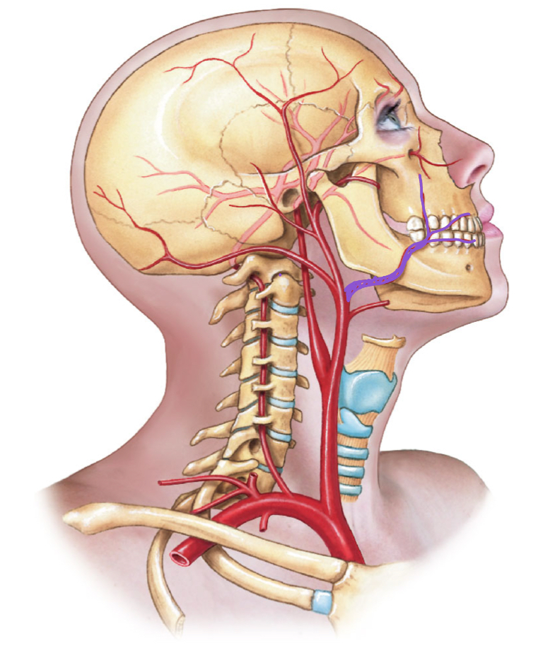 <p>diagram </p>