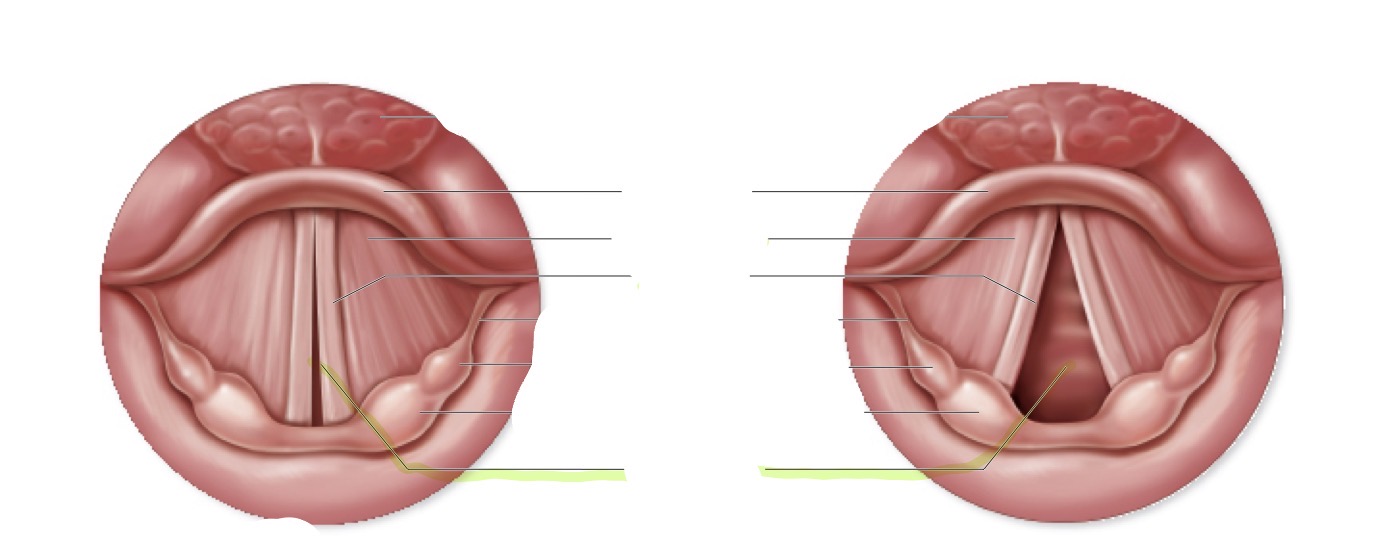 <p>what is this </p>