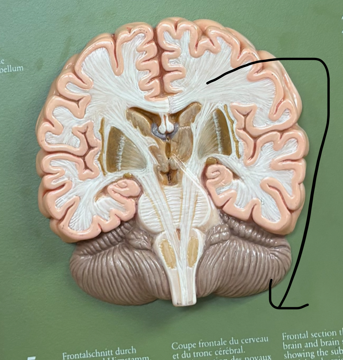term image
