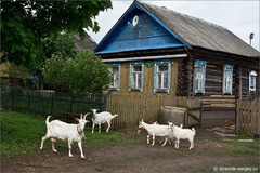 <p>деревня</p>