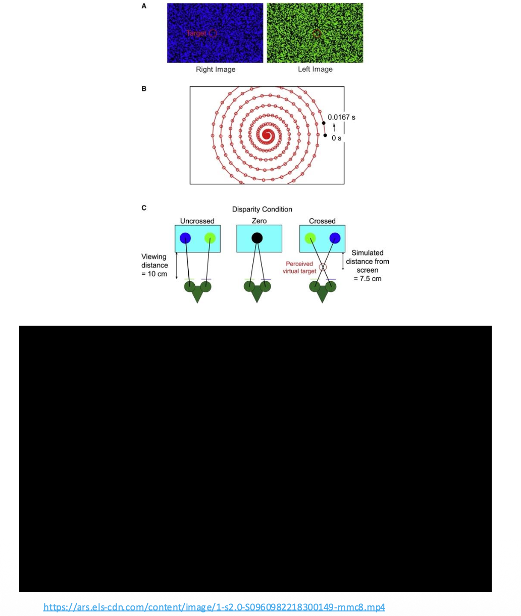 <p><u>Stereopsis Comparative Study: Insects &amp; Mollusks</u></p><p><strong>Do they need an Object, though?</strong></p><p class="p2">• Mantis stereopsis detects depth in __ without object recognition.</p><p class="p3">• Demos that __ precedes object recognition in vision in multiple species.</p><p class="p2">• However, Mantises rely on __ change across both eyes, unlike primates.</p>