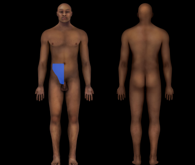 term image