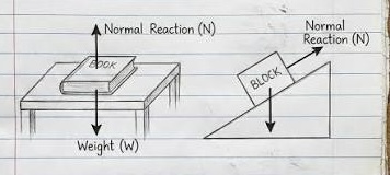 <p>The contact force exerted by an object pushing into a surface</p>