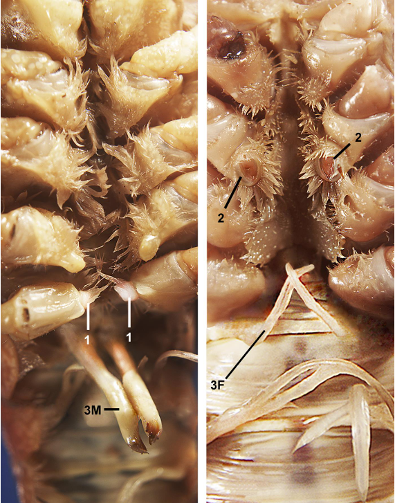 <p>taxa</p><p>label numbers</p>