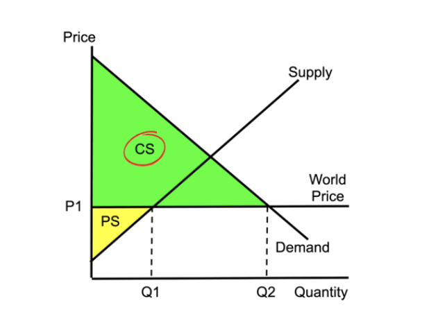 <p><span style="line-height: 1.5rem;"><span>World Price: International Market Price of a good, determined by global supply and demand</span></span></p><p><span style="line-height: 1.5rem;"><span>notes incomingggg once i get it ... jacob clifford yt vid</span></span></p>