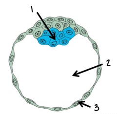 <p>What is number 1 pointing to?</p>