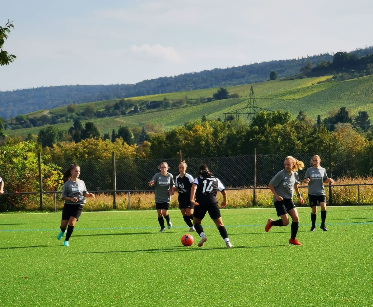 <p>(to kick a ball with your feet in a game with two teams) </p><p>He loves sports and likes to p__________ f__________ with his friends.</p>
